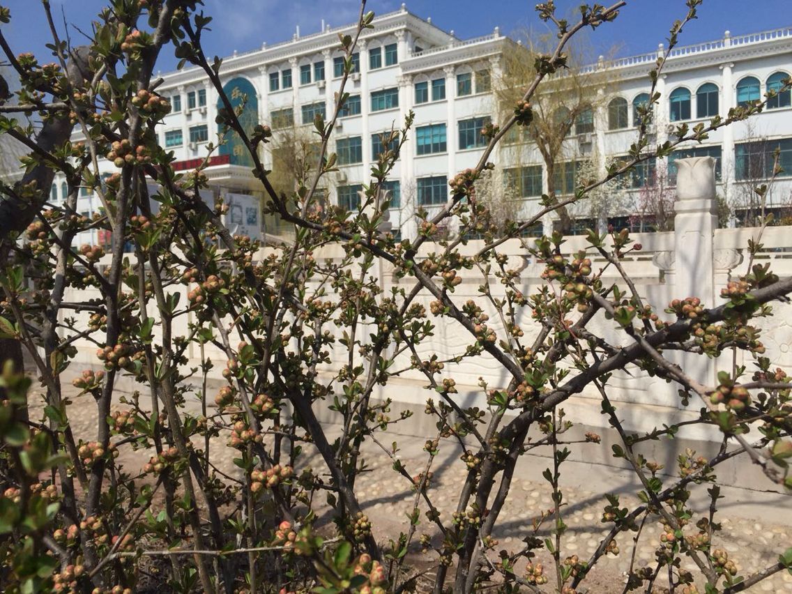 乐好工业园