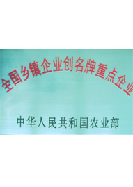 乐好千秋全国乡镇企业创名牌重点企业